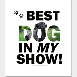 Best Dog In My Show - black labrador oil painting word art Posters and Art